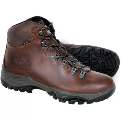 Botas Scarpa Terra GTX Hombre Marrones - Chile CLM014597